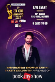 Zee Cine Awards 2024