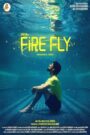 Firefly